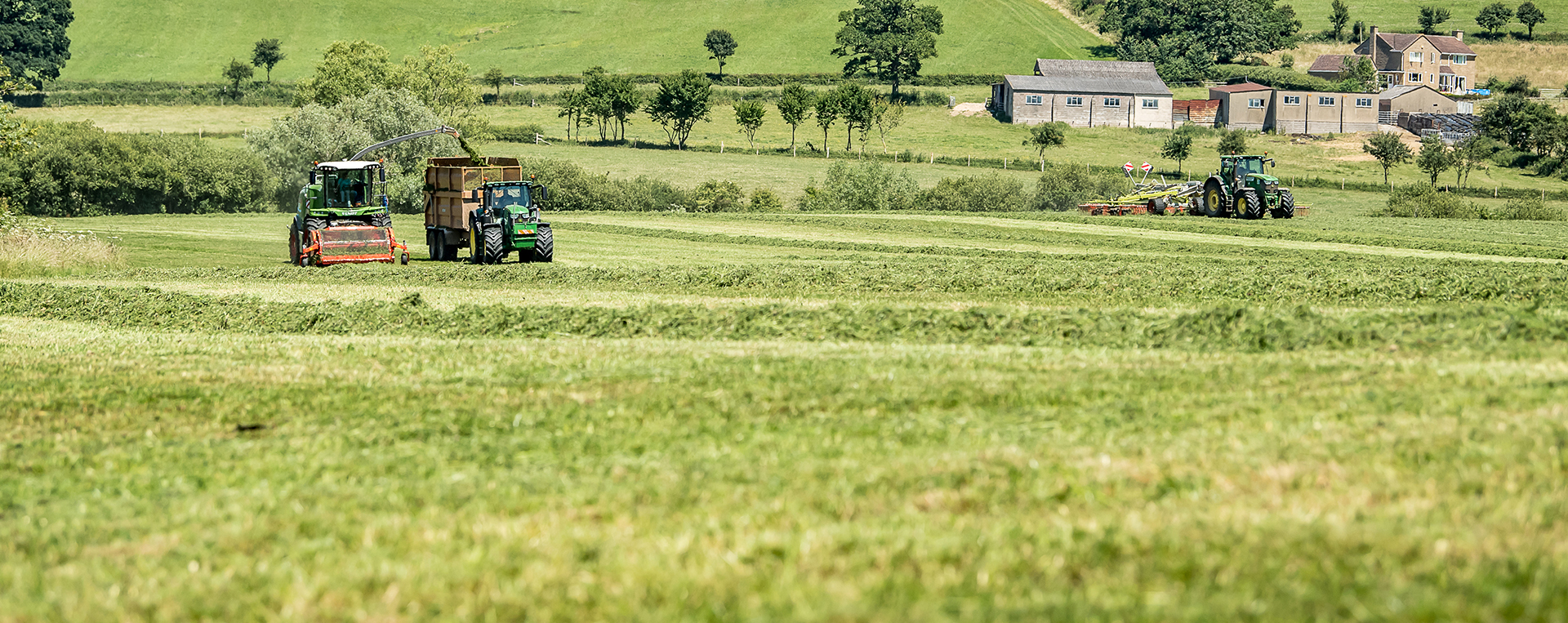 Field and tractors