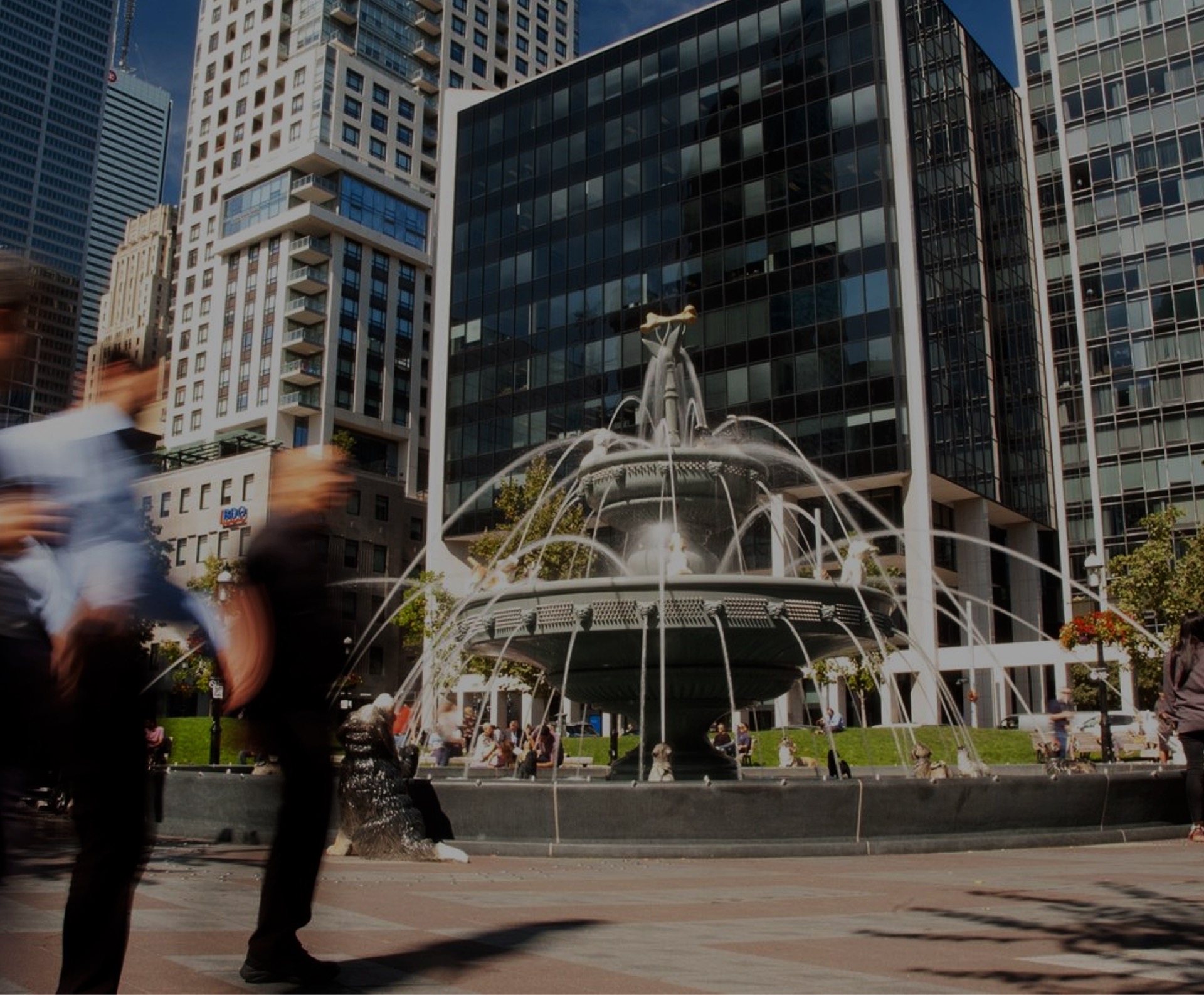 Website Support and Maintenance for Businesses in Toronto, Ontario