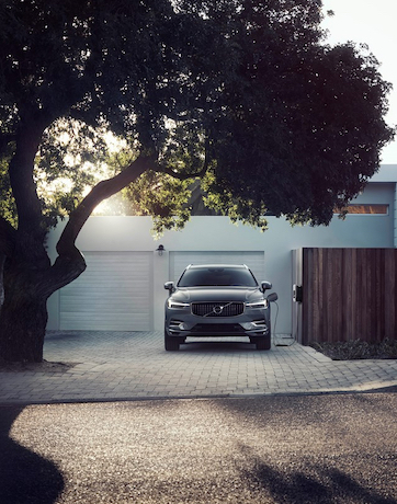 Car under a tree